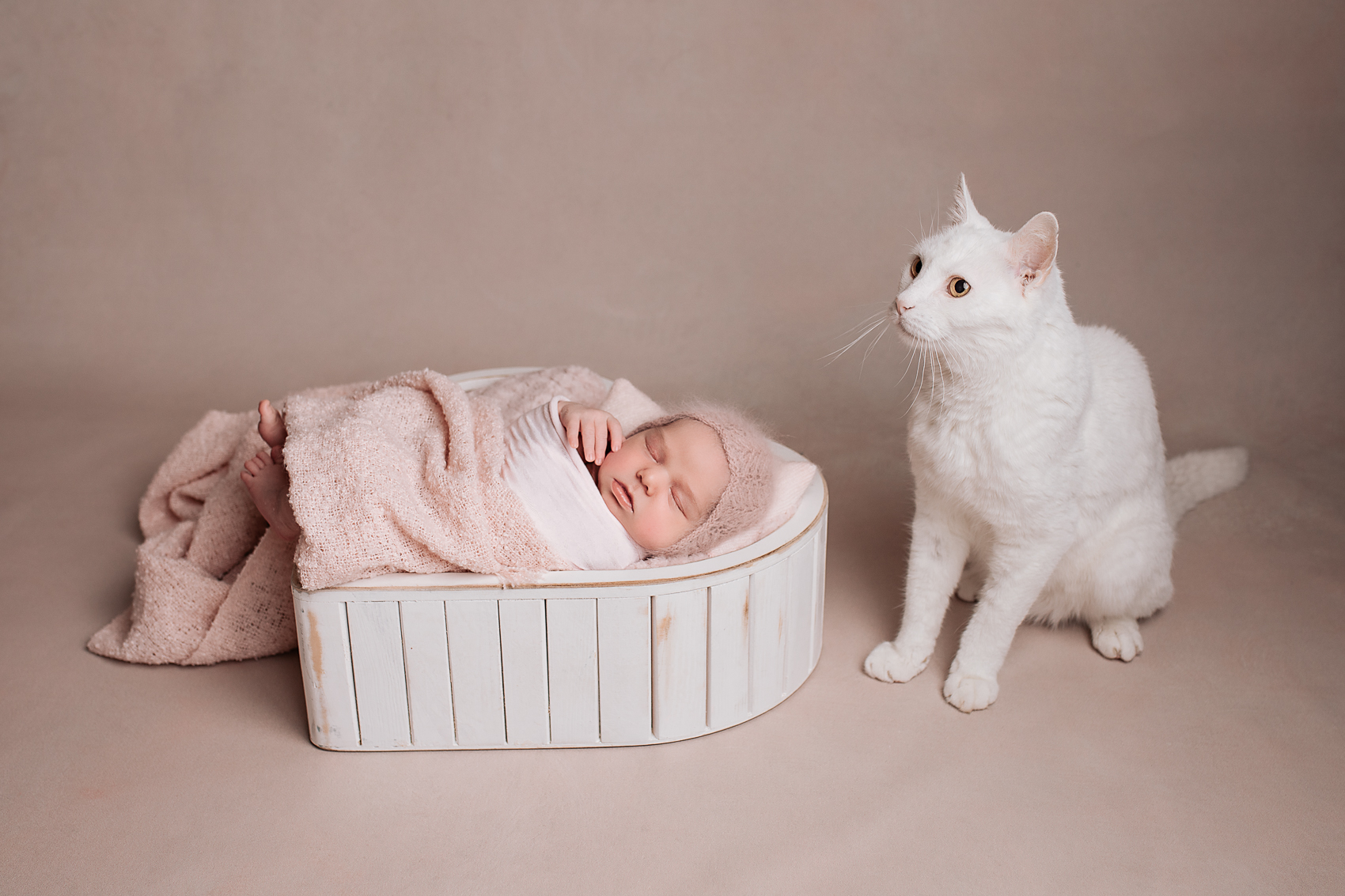 Vastsündinud svg+xml,%3Csvg%20xmlns%3D%22http%3A%2F%2Fwww.w3 - Vastsündinud