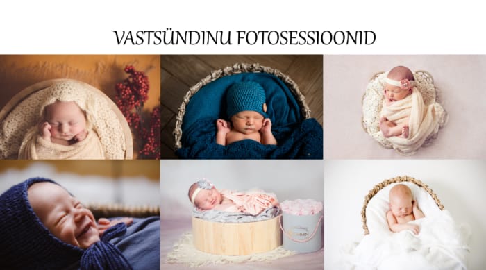 BEEBISESSIOONID 700x389 - BEEBISESSIOONID