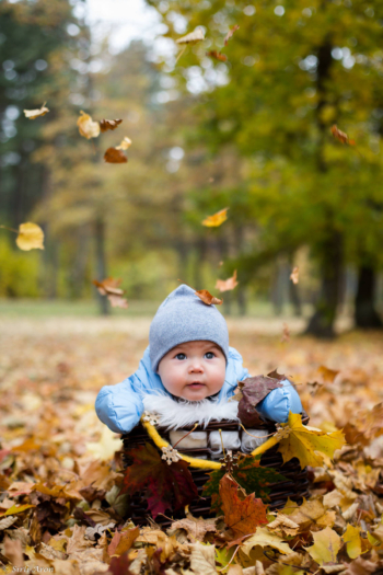 Beebid sügises | beebigrupid | baby photography svg+xml,%3Csvg%20xmlns%3D%22http%3A%2F%2Fwww.w3 - Beebid sügises | beebigrupid | baby photography