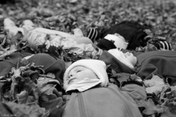 Beebid sügises | beebigrupid | baby photography svg+xml,%3Csvg%20xmlns%3D%22http%3A%2F%2Fwww.w3 - Beebid sügises | beebigrupid | baby photography