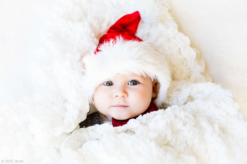 Meenutus 2016 aastast | head uut aastat | perepildid svg+xml,%3Csvg%20xmlns%3D%22http%3A%2F%2Fwww.w3 - Meenutus 2016 aastast | head uut aastat | perepildid