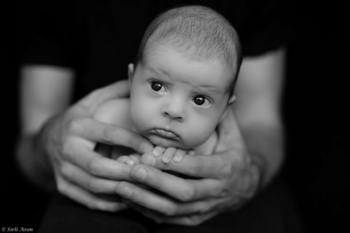 Meenutus 2016 aastast | head uut aastat | perepildid svg+xml,%3Csvg%20xmlns%3D%22http%3A%2F%2Fwww.w3 - Meenutus 2016 aastast | head uut aastat | perepildid